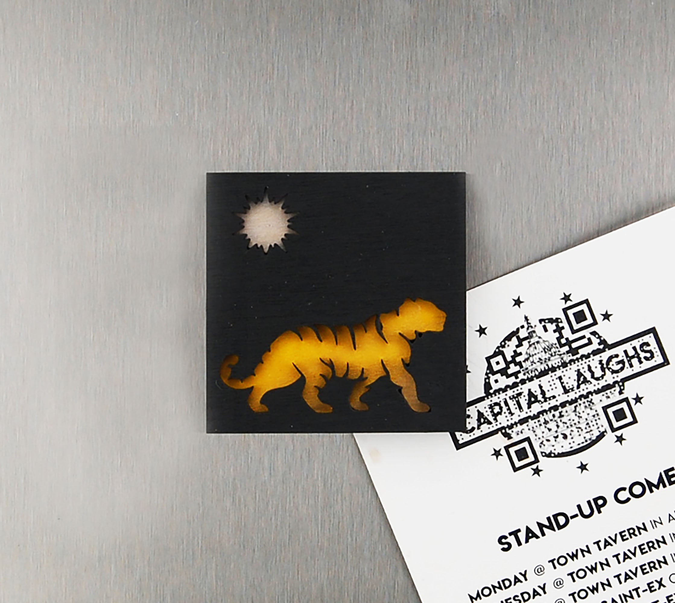 Refrigerator Magnet 4 Pack – Big Cat Theme