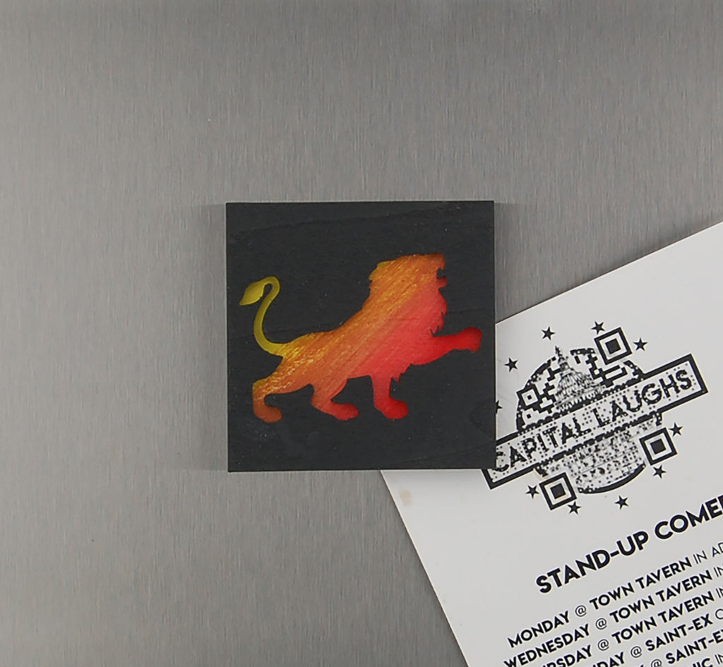 Refrigerator Magnet 4 Pack – Big Cat Theme