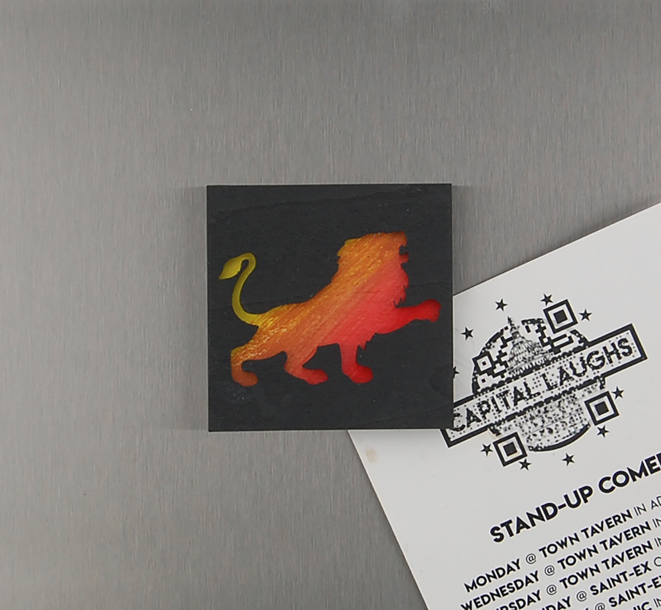 Refrigerator Magnet 4 Pack – Big Cat Theme