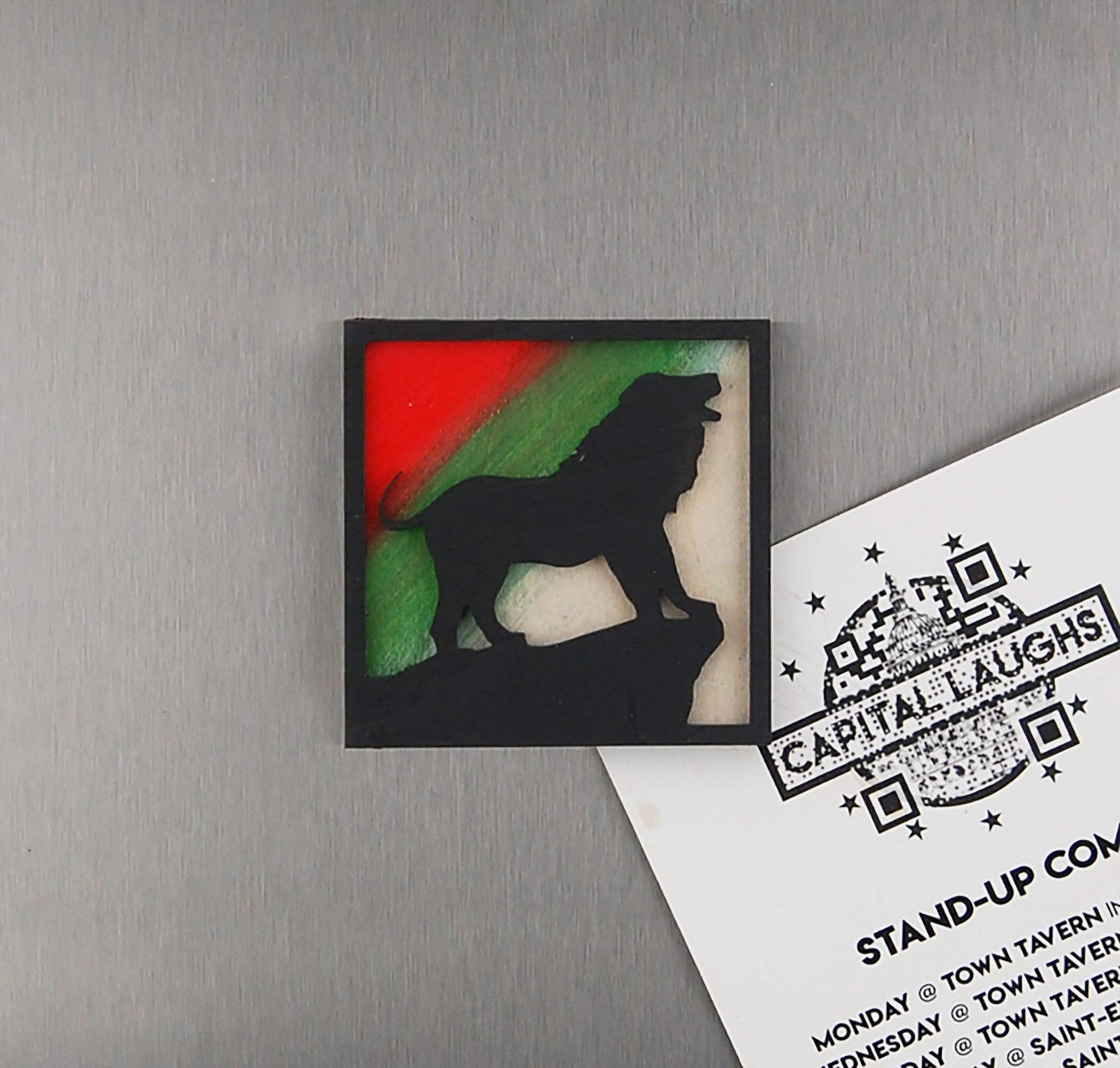 Refrigerator Magnet 4 Pack – Big Cat Theme