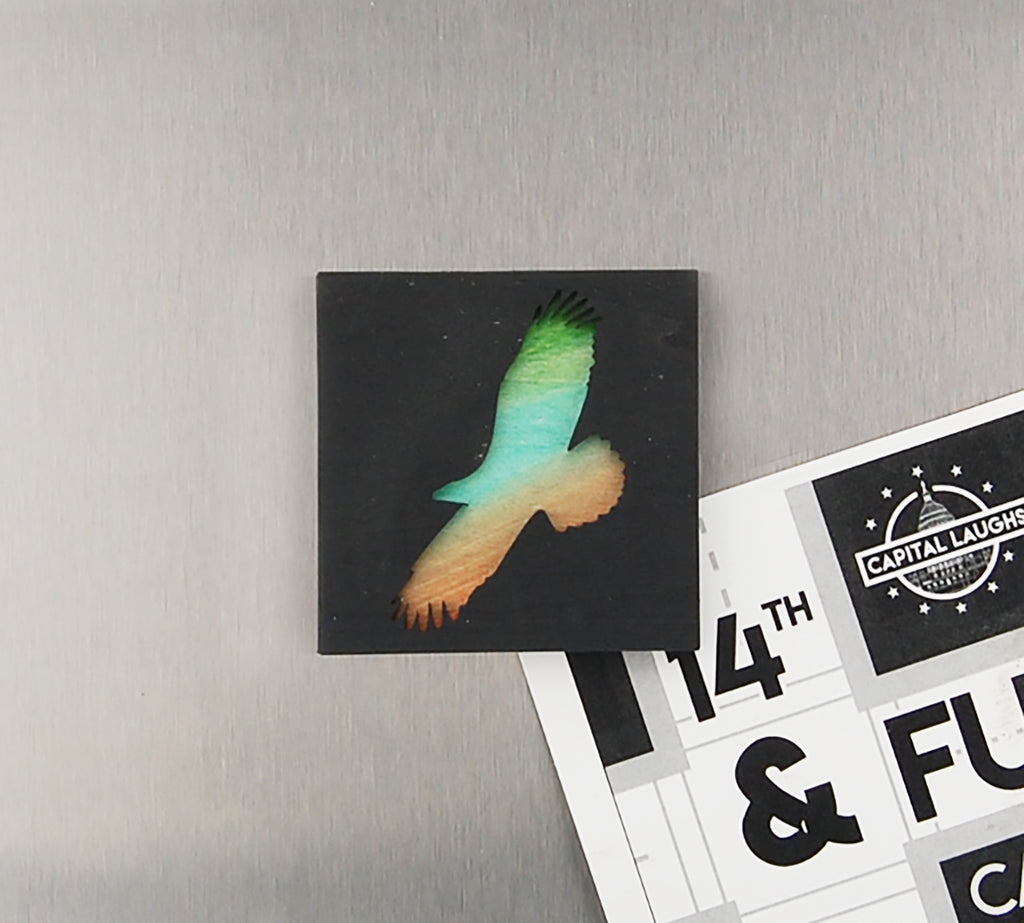 Refrigerator Magnet 4 Pack – Bird Theme