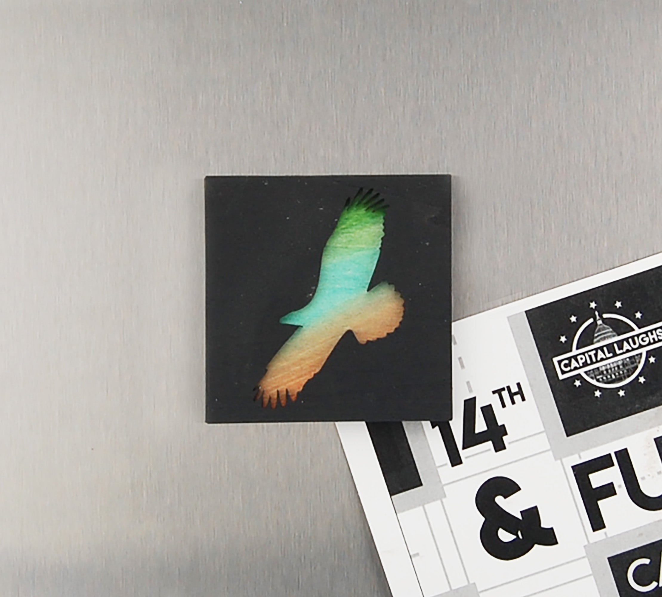 Refrigerator Magnet 4 Pack – Bird Theme