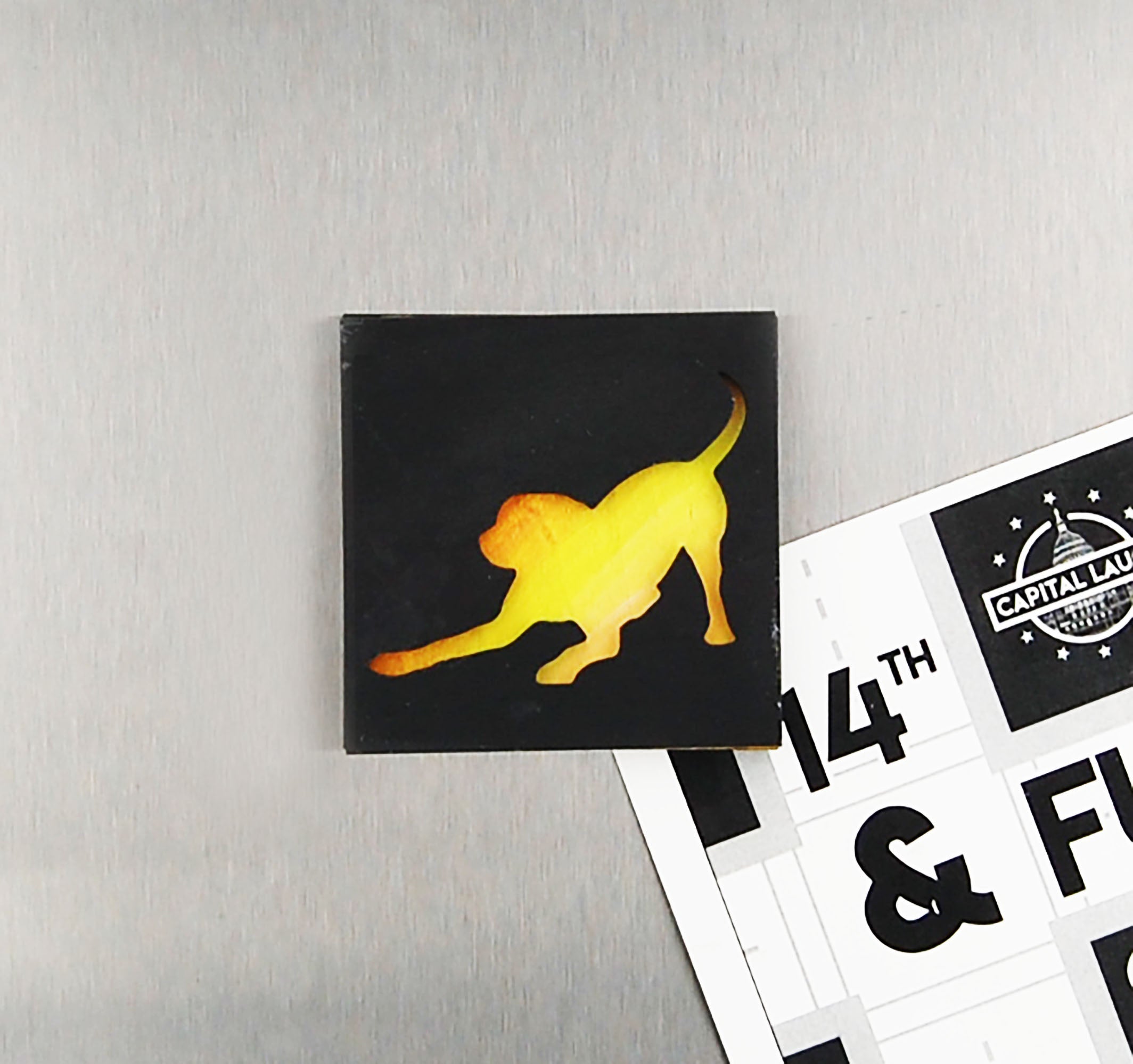Refrigerator Magnet 4 Pack – Dog Theme