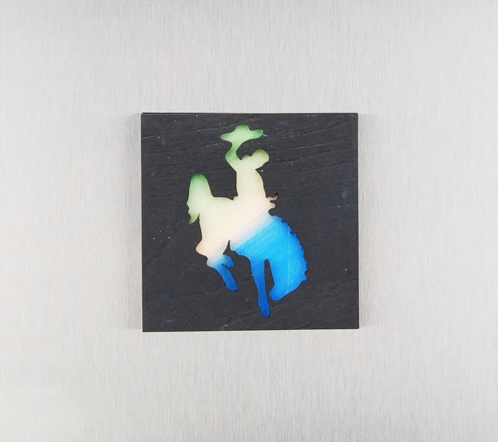 Refrigerator Magnet 4 Pack – Rodeo Theme