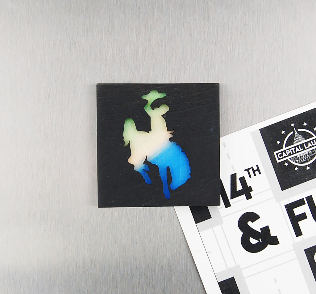 Refrigerator Magnet 4 Pack – Rodeo Theme