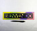 Bienvenido Welcome Sign | Handmade Laser Cut Hand Painted Spanish Home Decor